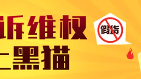 海豚与热火对决数据深度分析：终极指南